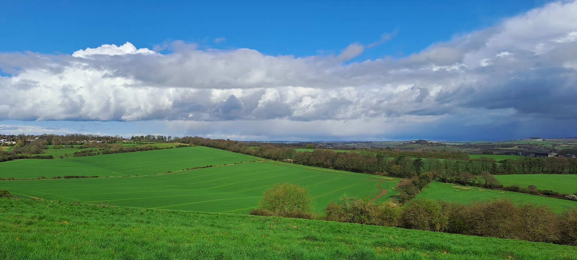 Green countryside near Winchester